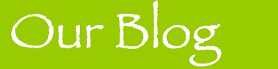 House Cleaning Blog