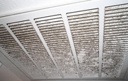 home cleaning  dusting