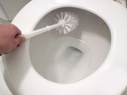 home cleaning  toilet